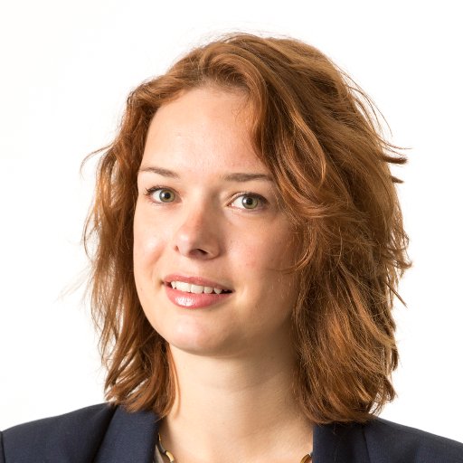Assistant professor at Universiteit Twente. Researcher in criminal decision making, technology and behaviour change.
