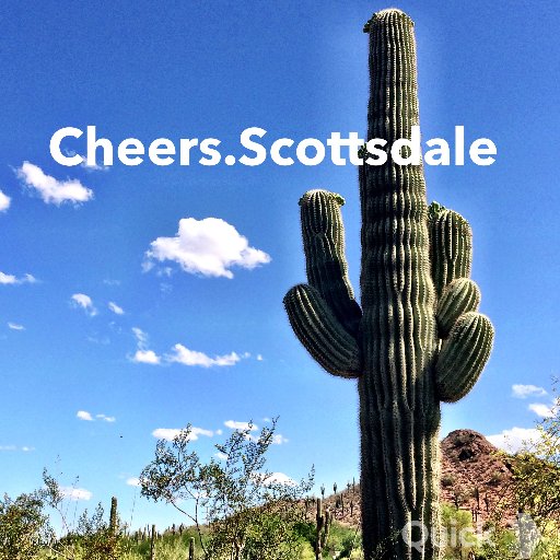 We wander the desert looking for the good stuff • Food and fun in the Valley of the Sun 🌵 #CheersScottsdale
