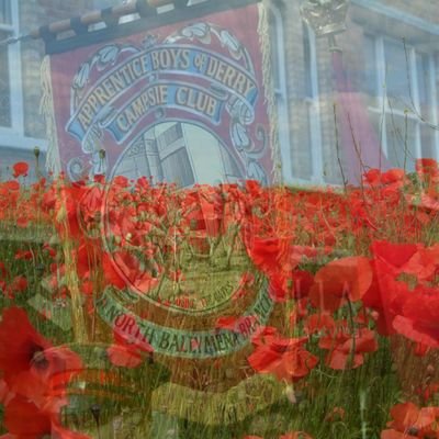NBABOD1689's profile picture. We are a Campsie Club which was formed in 2009. We are a large club based in the North Ballymena area and take part in as many parades as possible.