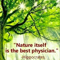 Alternative Medicine (@altmedblogs) 's Twitter Profile