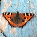 Arwel Wyn Williams (@arwelwwilliams) Twitter profile photo Arwel Wyn Williams (@arwelwwilliams) Twitter profile photo
