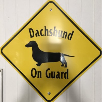 WienerSpeed's profile picture. All about cars, motorcycles and working in the garage. Whatever you do get out in the garage and keep on living the dream!