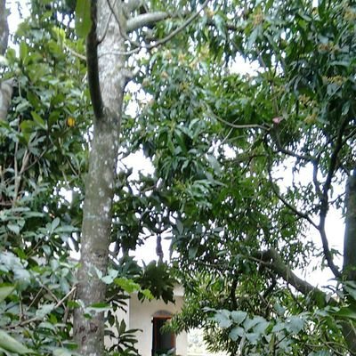 jorgeluizcouto's profile picture. 