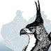 Chiapas Birding (@chiapasbirding) Twitter profile photo Chiapas Birding (@chiapasbirding) Twitter profile photo