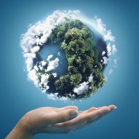 TheTreeProject (@the_treeproject) 's Twitter Profile