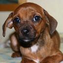 dustin larson - @helpmeblizzard - Twitter