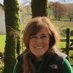 Andrea Davis (@cllrandreadavis) Twitter profile photo Andrea Davis (@cllrandreadavis) Twitter profile photo