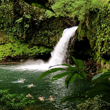 Dedicated to rain forest conservation in Costa Rica serving as a hands-on classroom and outdoor laboratory.