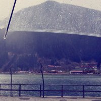 بشاير. (@besho_y) 's Twitter Profile