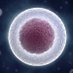 NYC Stem Cell Center (@nycstemcell) Twitter profile photo NYC Stem Cell Center (@nycstemcell) Twitter profile photo