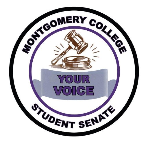 The Montgomery College Student Senate at the Rockville Campus represents students by advocating for pressing student issues on campus and organizing events.