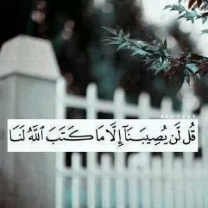 a_1409_m's profile picture. اللهم اغفر لي، وارحمني، وإهدني، وعافني، وارزقني اللهم ارحمني إذا نسي اسمي وبلي جسمي، وهجر قبري ولم يزرني زائر، ربي خذني إليك طاهرا مطهرا من الذنوب.