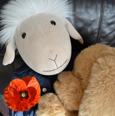 PillyJ's profile picture. 