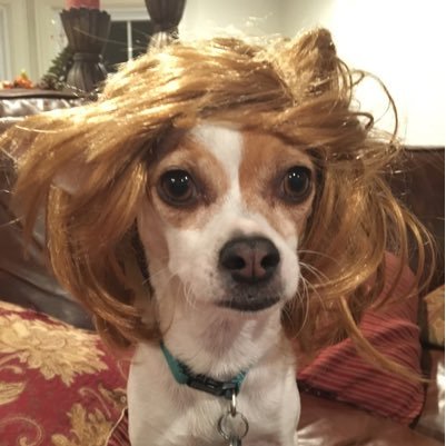 AdrienneWiles's profile picture.