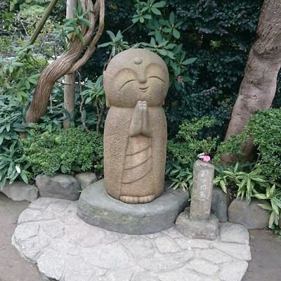 Kawaaaade's profile picture. 外科専攻医
肝胆膵・移植外科志望
