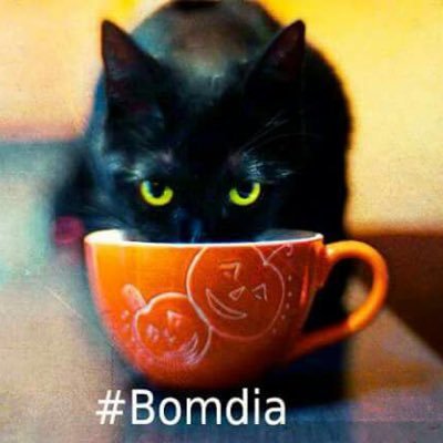 tchansas's profile picture. 