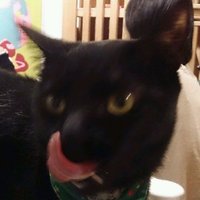ゆの (@iyuno) 's Twitter Profile