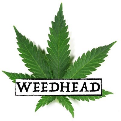 weedheadchannel's profile picture. Ricky(Veteran) & Jacqueline(Singer) We're a #YouTube channel dedicated to all things #cannabis/#marijuana/#weed! Check out our latest video in the link below!!