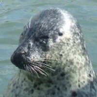 kabusam (@kabusam) Twitter profile photo