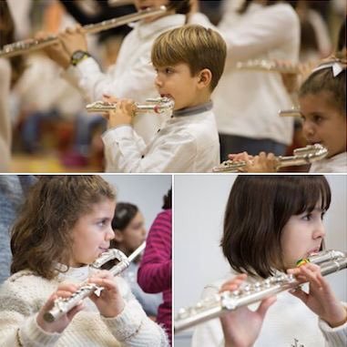 Mètode Suzuki, flauta travessera. Pedagogia Willems. Espais: Alzira, València i Castelló.