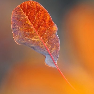 bsujit's profile picture. Unlearning ...