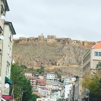 mustafa altin (@altin_mustafa) Twitter profile photo