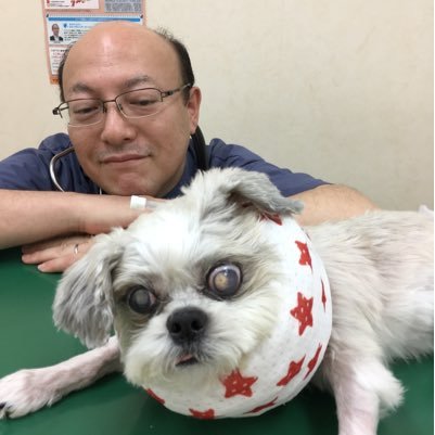 動物病院の院長・獣医師をしています。 2022年9月に金沢大学より博士(医学)を取得。現在、金沢大学先進予防医学研究センターの協力研究員を併任。趣味: 乱読読書…。音楽鑑賞・特にクラシック/バッハ・ベートーベン・ブルックナー。マーラー9番第4楽章をこよなく愛す。