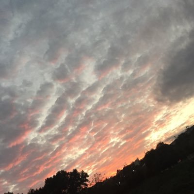 papapapap21's profile picture. ゲームとか漫画用アカウント     岐阜