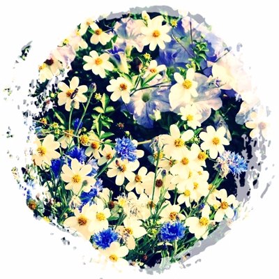 22shion_wt's profile picture. 二次創作文字書き