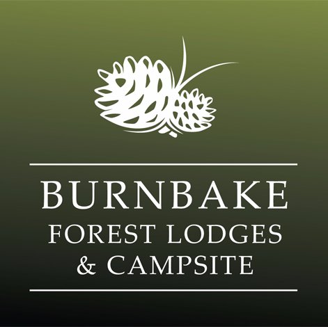 #Burnbake offers luxury self catering forest lodges and camping in #Purbeck #Dorset