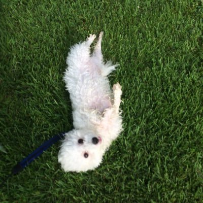 Mobryan1978Mark's profile picture. Craft Beer Aficionado 🍺, Cardinals, Blues, 80’s New Wave & Fantasy Football Enthusiast 🏈 Weather Geek 🌪️⚡️