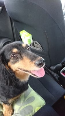 50hirorin's profile picture. 