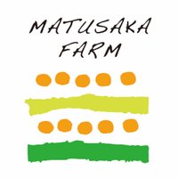 Shinya Matsusaka (@matsusakaf) Twitter profile photo