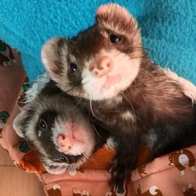 TOM☆さんのプロフィール画像