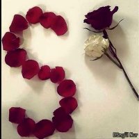 أبو عبدالله (@alsiraj1111) 's Twitter Profile