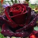 خالد الحلبي (@5BLlQLC6ZRf5HTB) Twitter