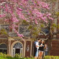 TWU Office of Educator Preparation Services (@twucopesupport) 's Twitter Profile
