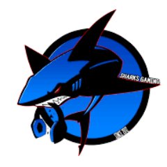 Equipo español competitivo de COD. ¿Quieres un 1v1, 2v2 o 4v4? Follow me and send me a Direct ;)