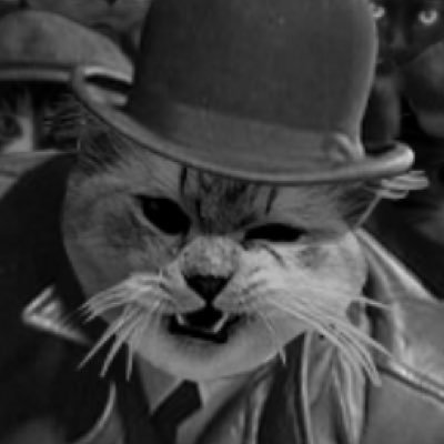 Tuffie9lives's profile picture. 