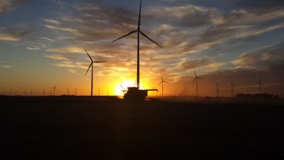 EdTanton's profile picture. 