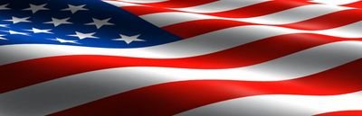 politicaldingus's profile picture. GO TRUMP