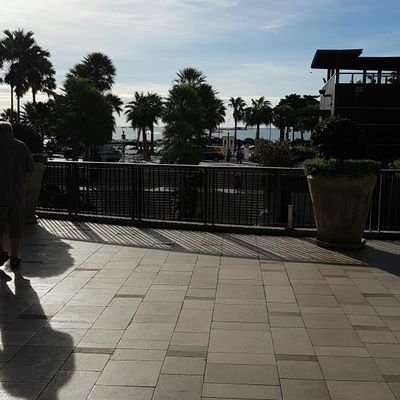 thaer569's profile picture. 