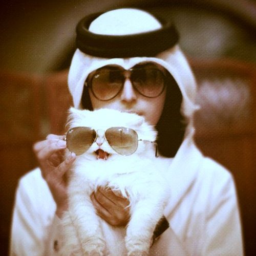 Net_Abo_Turk4's profile picture. جميعنا حذرون و أذكياء جداً ؛
بعد أن يقع الفأس بالرأس !