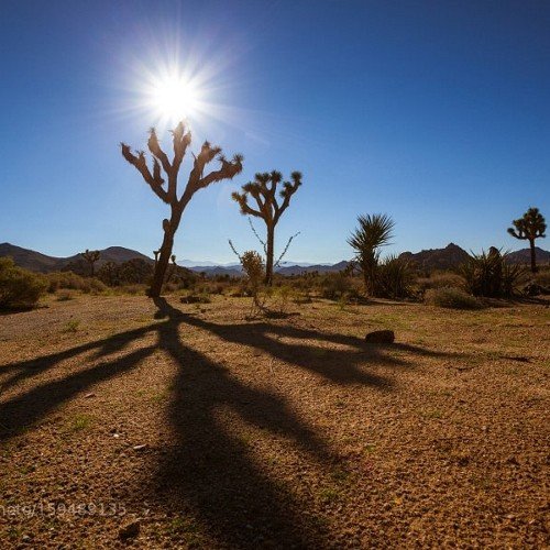 aa0099bb's profile picture. اللهم إنا نسألك يسرًا ليس بعده عسر، وغنىً ليس بعده فقر، وأمنًا ليس بعده خوف، وسعادةً ليس بعدها شقاء..(سبحان الله العظيم وبحمده)-•