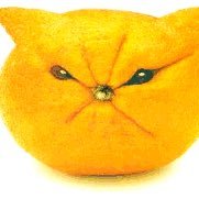 citruschap's profile picture. 🍊🍋Tweeting everything citrus 🍋🍊