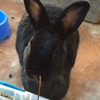 Precious Ways (@precioustroubl1) 's Twitter Profile