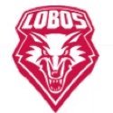 UNMLoboSpirit Profile Picture