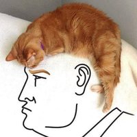 MegaMagaRosie (@rosalea59) 's Twitter Profile
