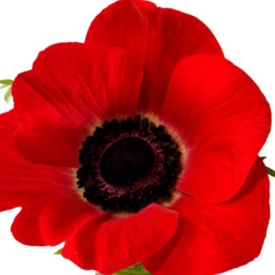 Canlab780's profile picture. 