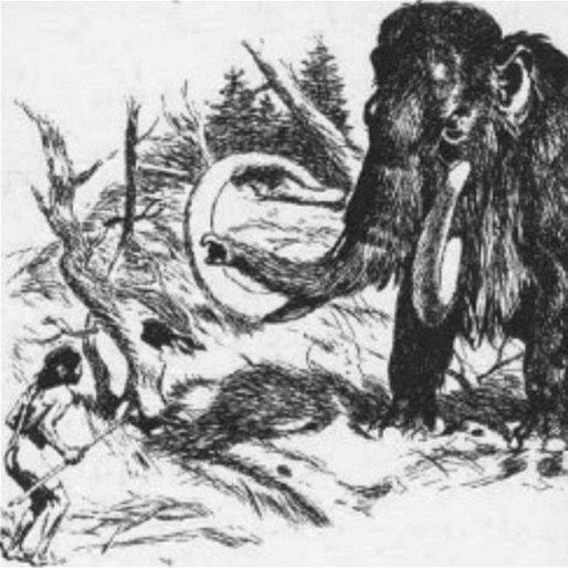 jan_cernota's profile picture. 